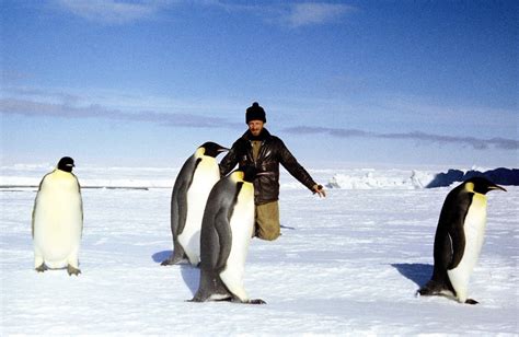 Meet the robot keeping an eye on emperor penguins in Antarctica